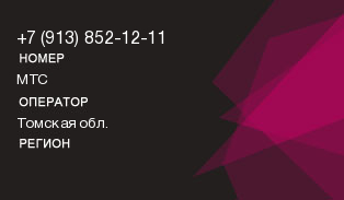 9138521211
